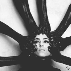 Night Verses : Into the Vanishing Light